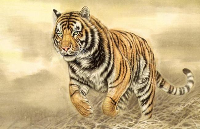 十二生肖虎的寓意，虎的象征寓意