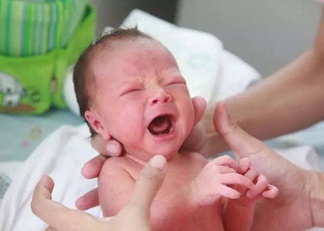 厉害了！这天出生的宝宝被称为“天胎”？
