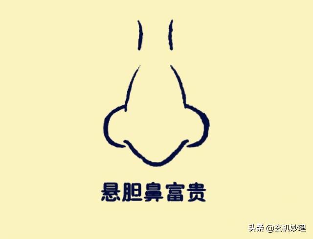 <strong>面相</strong>看财运(你也能当<strong>面相</strong>师！2分钟学会聚财<strong>面相</strong>4大特征)