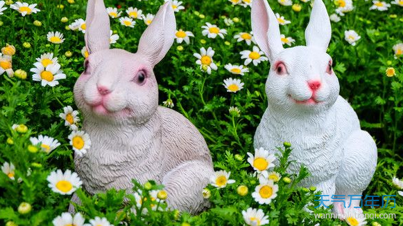 生肖属兔的人和什么属相最配 属兔的属相婚配表大全