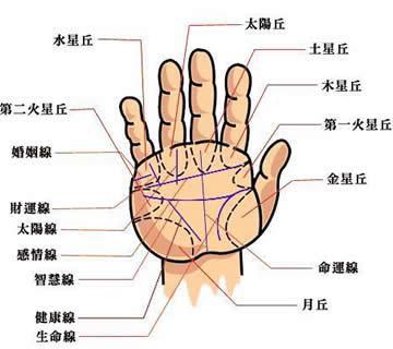 男<strong>手相</strong>生命线,<strong>手相</strong>生命线短会早死吗
