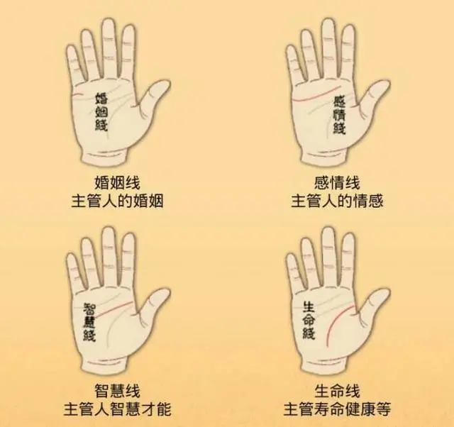 断掌手纹算命图解_手纹断掌是什么意思_手纹断掌
