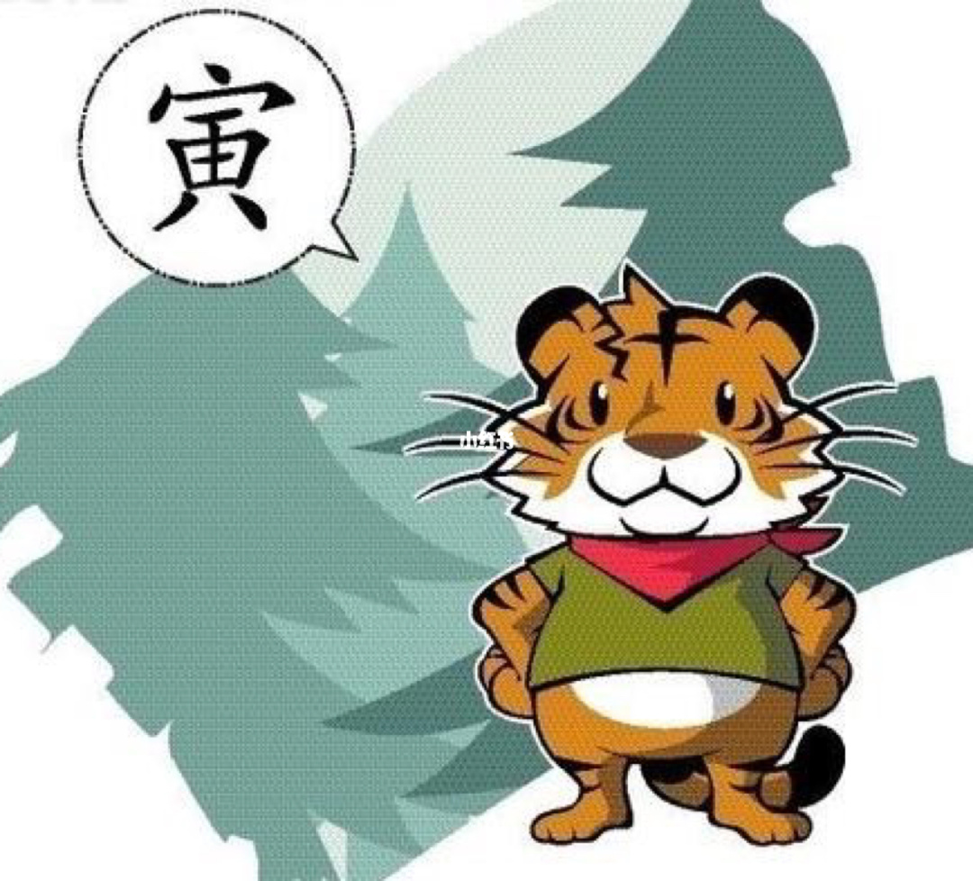 屬虎的女人_屬豬的男人與什么屬相的女人婚配好_屬蛇的女人能跟屬豬的在一起嗎