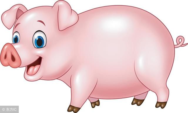 属猪的属相婚配表大全 属猪人的幸运数字和幸运颜色