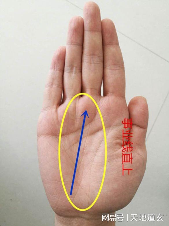最详细的男人<strong>手相</strong>图解大全：<strong>手相</strong>图解大全男左手太阳线