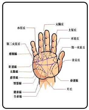 最详细的男人<strong>手相</strong>图解大全：<strong>手相</strong>图解大全男左手太阳线
