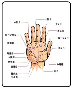 最详细的男人手相图解大全：手相图解大全男左手太阳线