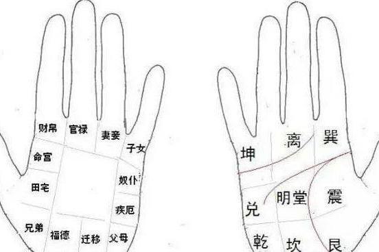<strong>手相</strong>八卦十二宫，掌握小诀窍，自己就能看<strong>手相</strong>
