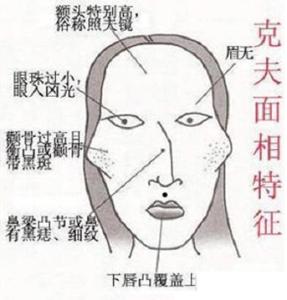 骨<strong>相学</strong>龙角骨的面相解析