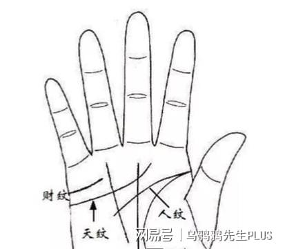 通过,我们在说一个人是否长寿时,都会先看他的"生命线".