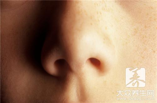 悬胆鼻与蒜头鼻的区别