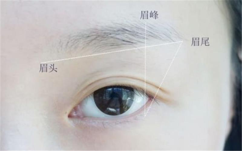 左眉上方<strong>痣相</strong>图解大全,<strong>痣相</strong>大全图解