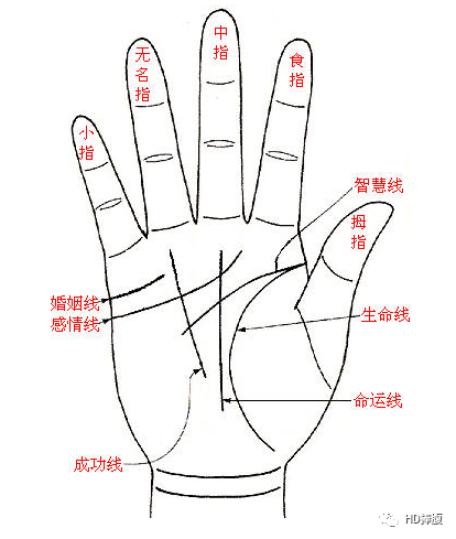 古人手相解读古代智慧揭示：手相告诉你的人生奥秘！文末手纹详解。