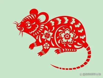 关于属鼠的人性格怎么样 属鼠人的性格和脾气