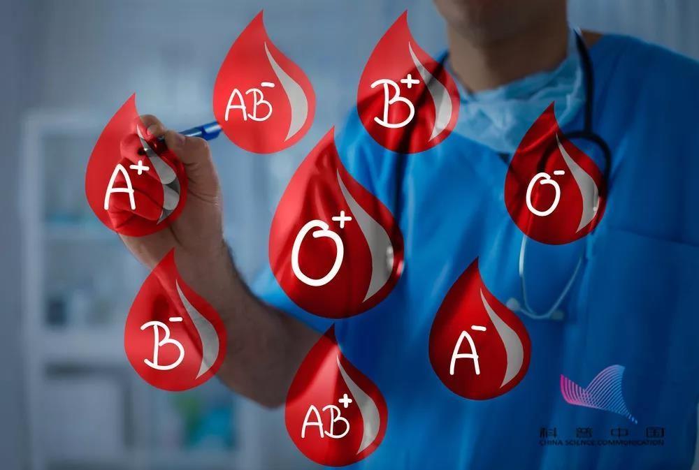 血型o+是什么意思_血型o+和o-有什么区别_o血型
