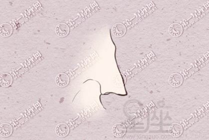 面<strong>相学</strong>鼻子大 鼻子大鼻梁高的人面相解析