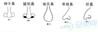 男人面<strong>相学</strong> 鼻子 鼻子看面相