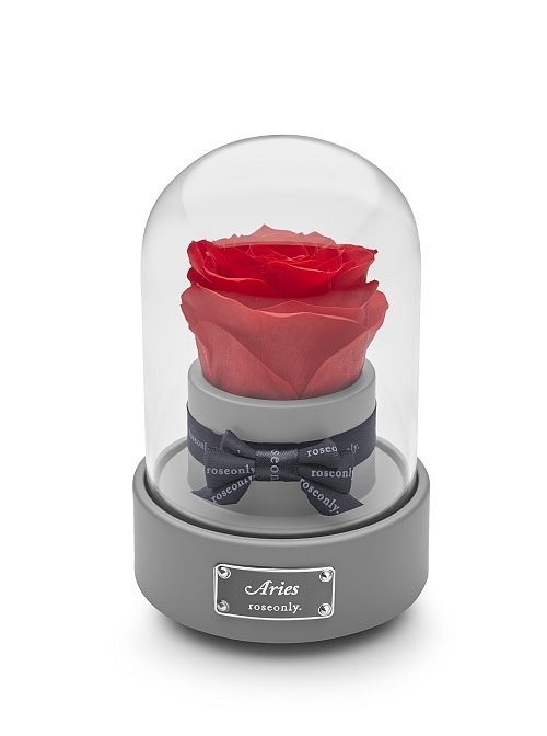 白羊座女生喜欢一个人的表现