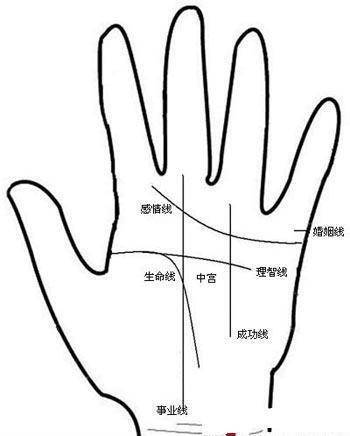 男人<strong>手相</strong>看哪只手 男人<strong>手相</strong>应该怎么看