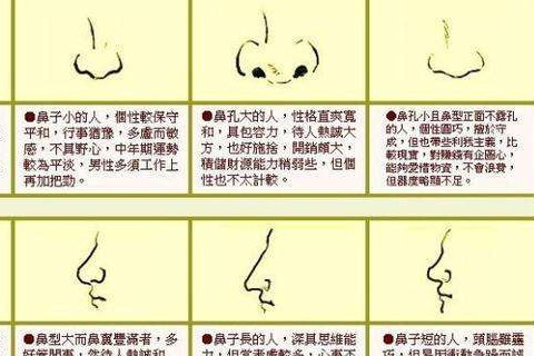 14种鼻型图解_鼻型图示_鼻型图各种鼻型图解