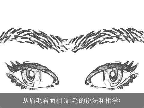 从眉毛看面相(眉毛的说法和<strong>相学</strong>)