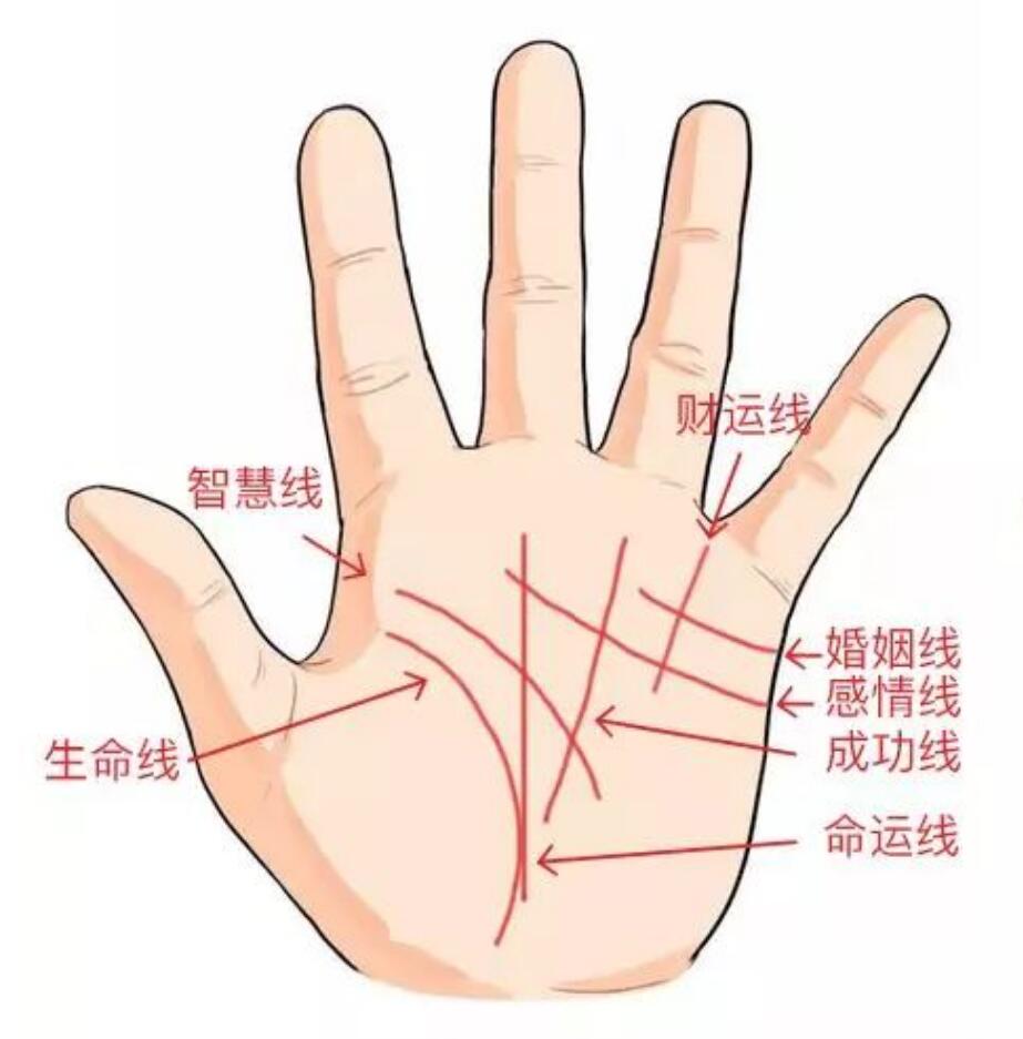 掌纹图解男左手详解,最全男人掌纹图解大全!