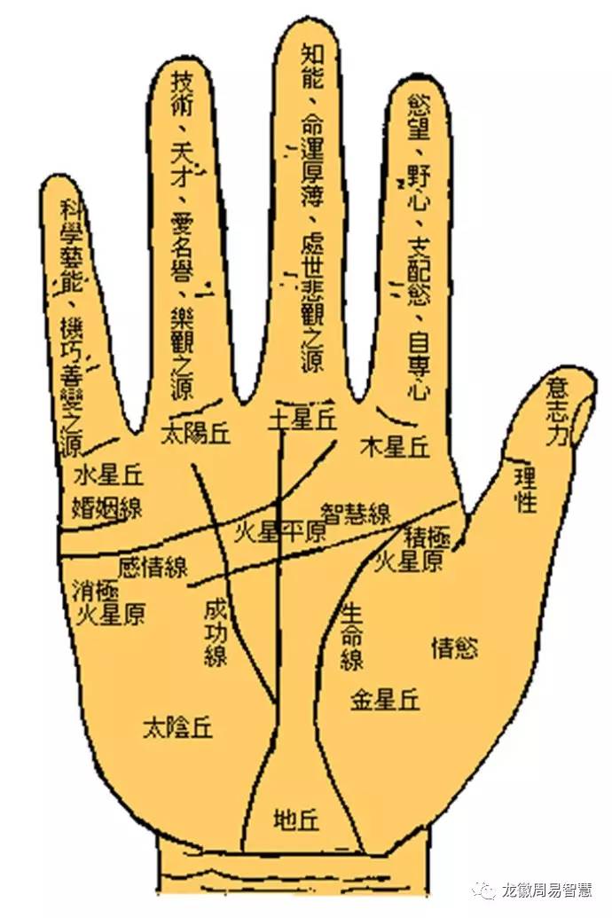 命运线_命运线是哪一条_命运线图解男左手