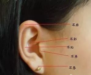 耳朵面相分析图解女_女人耳朵长痣面相图_女子耳朵面相算命图解大全