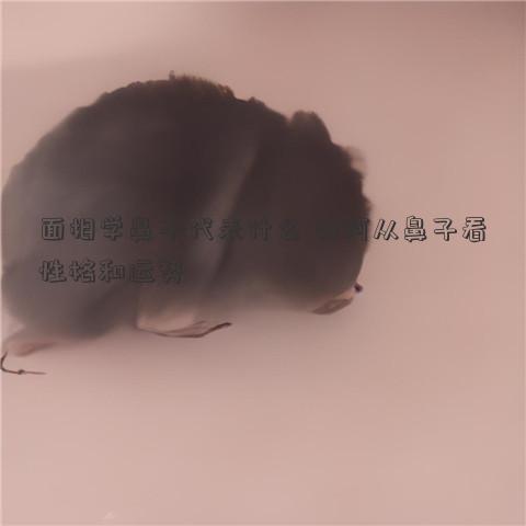 面<strong>相学</strong>鼻子代表什么 如何从鼻子看性格和运势