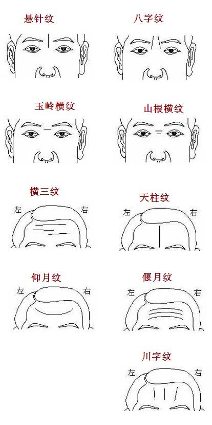 额头纹的解释 各种额头纹的特点