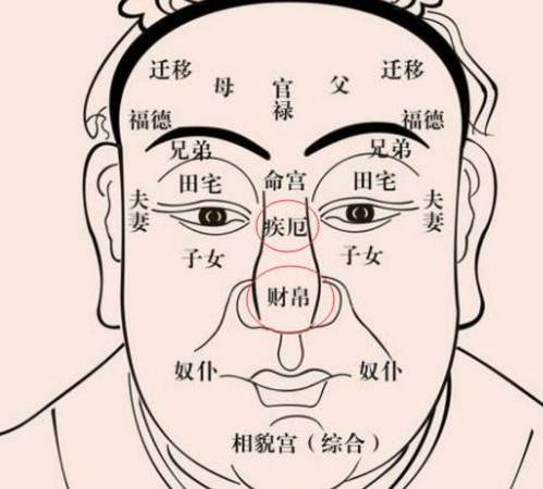 女人面部<strong>痣相</strong>图解大全