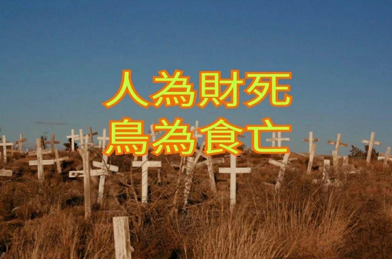 <strong>八字</strong>十神生克之像