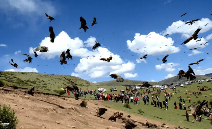 西藏人大审议通过关于制定天葬管理条例的议案
